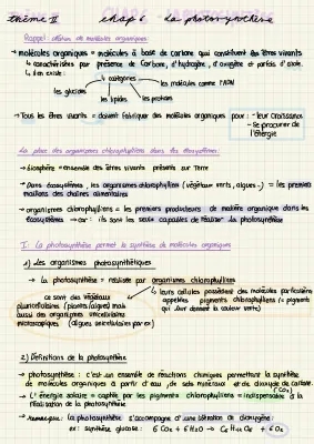 Cours de photosynthèse pour SVT 1ère - Fiches de révision incluses