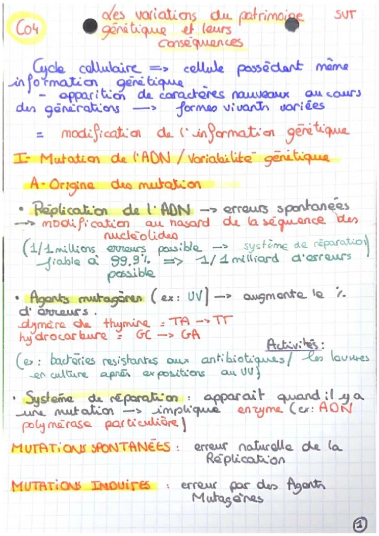 les variations du patrimoine génétique et leurs conséquences 