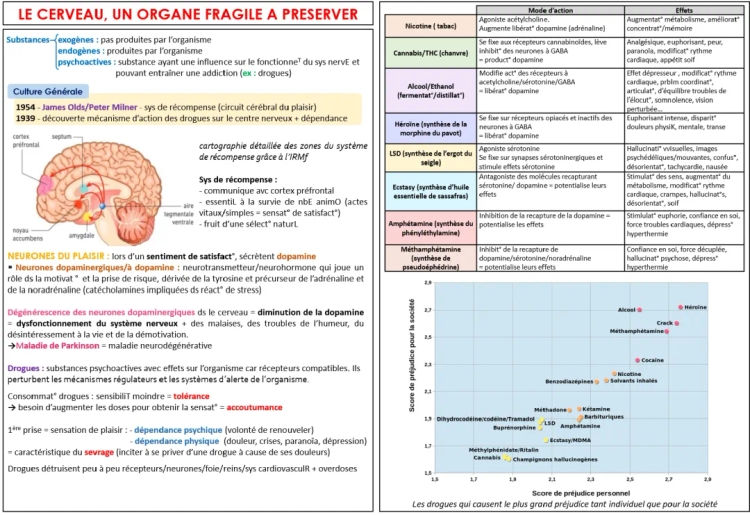 Les Effets des Drogues et Maladie de Parkinson sur le Cerveau - Pour les 10 Ans