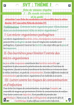 Microorganismes et Santé: Cours PDF et Barrières Naturelles