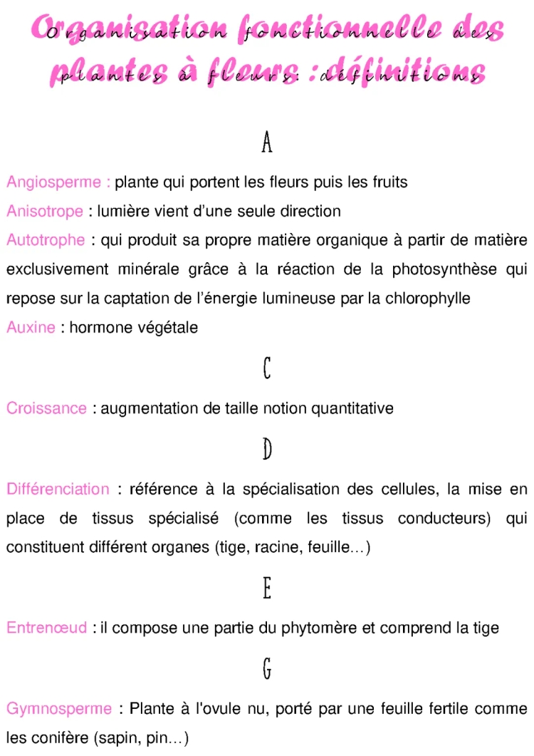 Révision de l'organisation fonctionnelle des plantes à fleurs