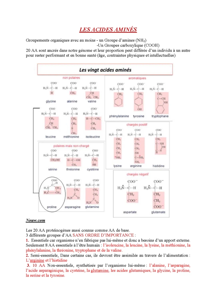 Les acides aminés