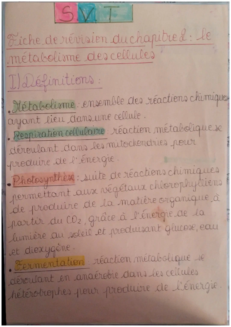 Chapitre 2 : Le métabolisme des cellules