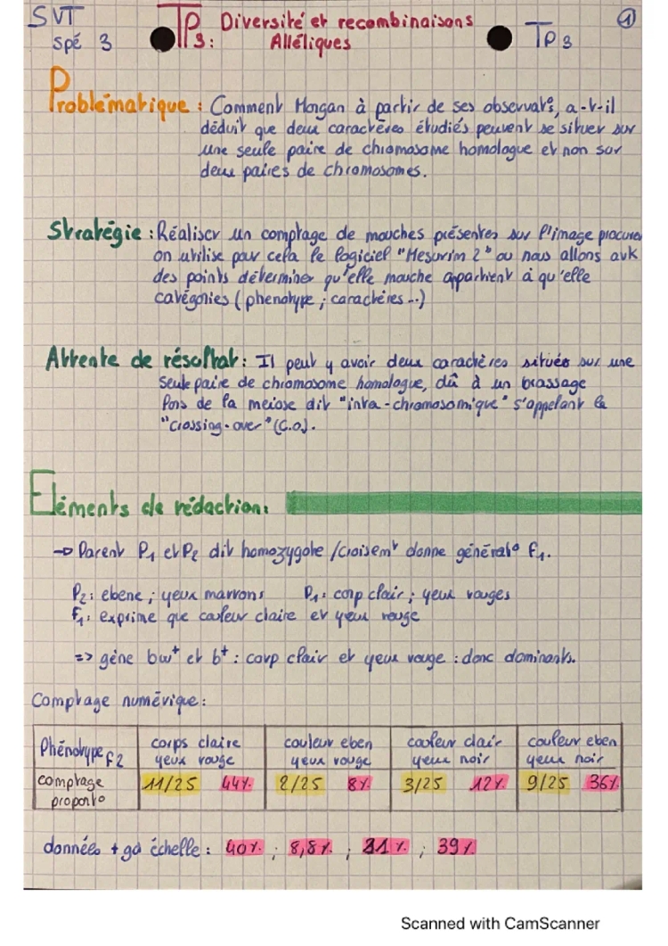 Brassage intrachromosomique et diversité génétique pour les 3ème - Cours SVT