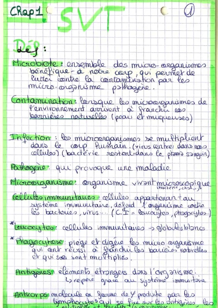 leucocytes, phagocytose, lymphocytes B et T