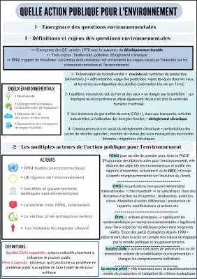 Quelle action publique pour l'environnement : Fiches de révision PDF et quiz