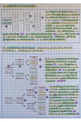 Mutations de l’ADN et variabilité génétique