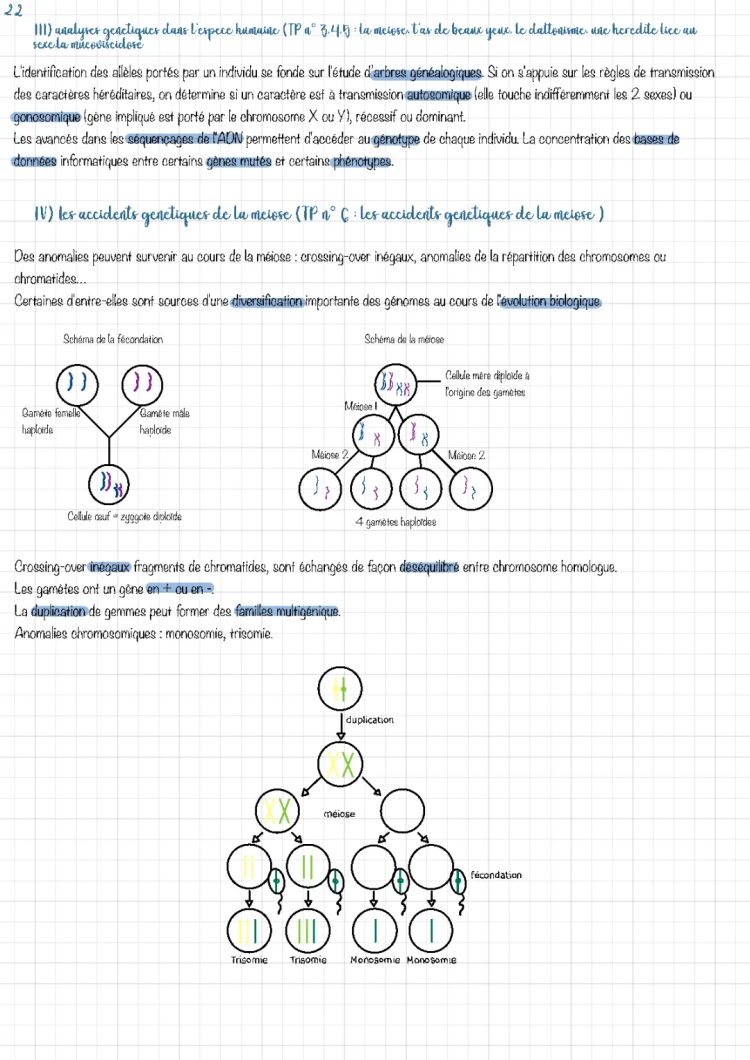 Test Génétique Complet: Résultats et Anomalies Chromosomiques Partie 2