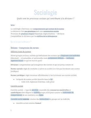 Comment les processus sociaux contribuent à la déviance - PDF et exemples pour élèves