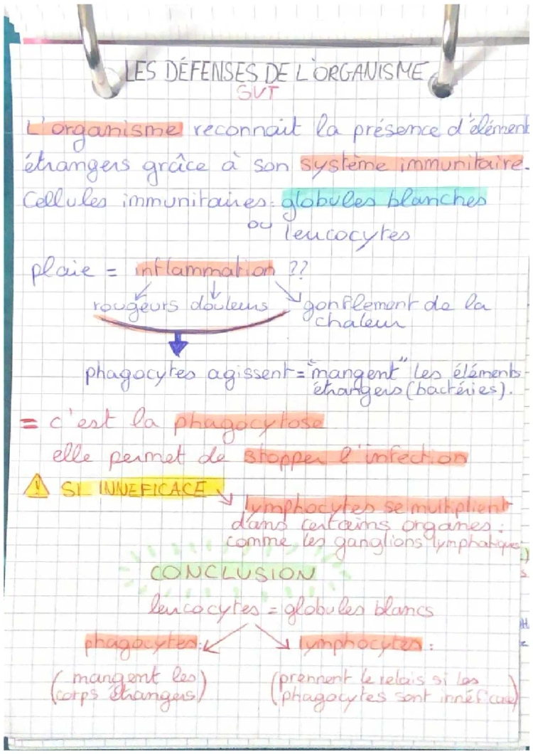 SVT- les défenses de l’organisme 