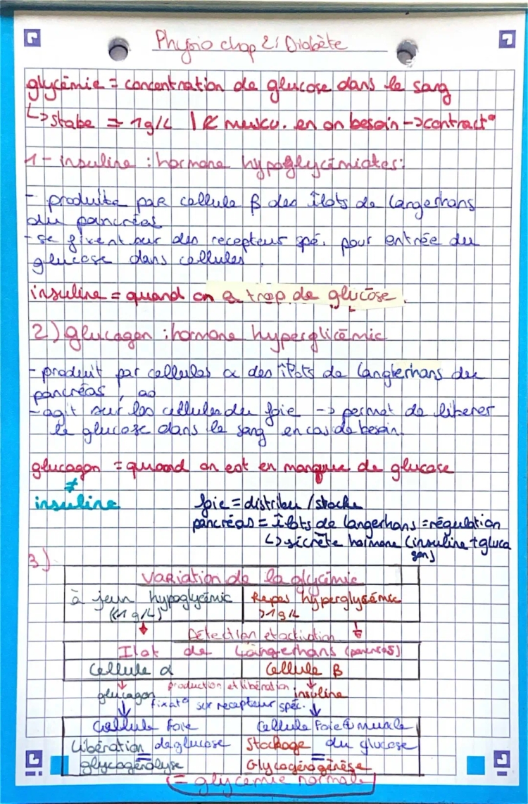 SVT-Physiologie- régulation de la glycémie 