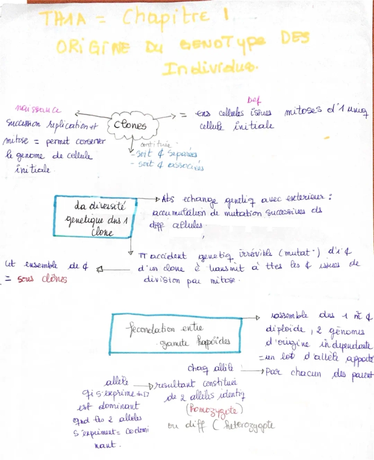 fiches de révision svt sur la génétique 