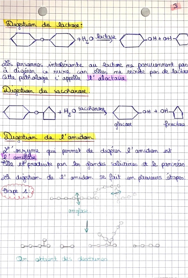 Biologie - Aliments, nutriments et biomolécules 