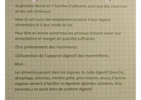 Nutrition des Animaux SVT 4ème et 5ème - Alimentation Domestique et d'Élevage PDF