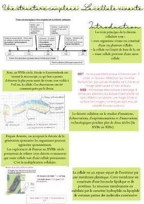 Une Structure Complexe : La Cellule Vivante et Son Microscope - Exercices et PDF