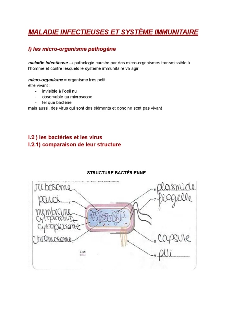 Le Système Immunitaire - Cours Résumé et Moyens de Défense