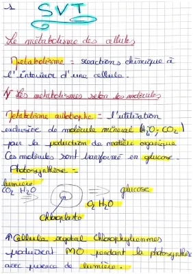  SVT Le métabolisme des cellules 