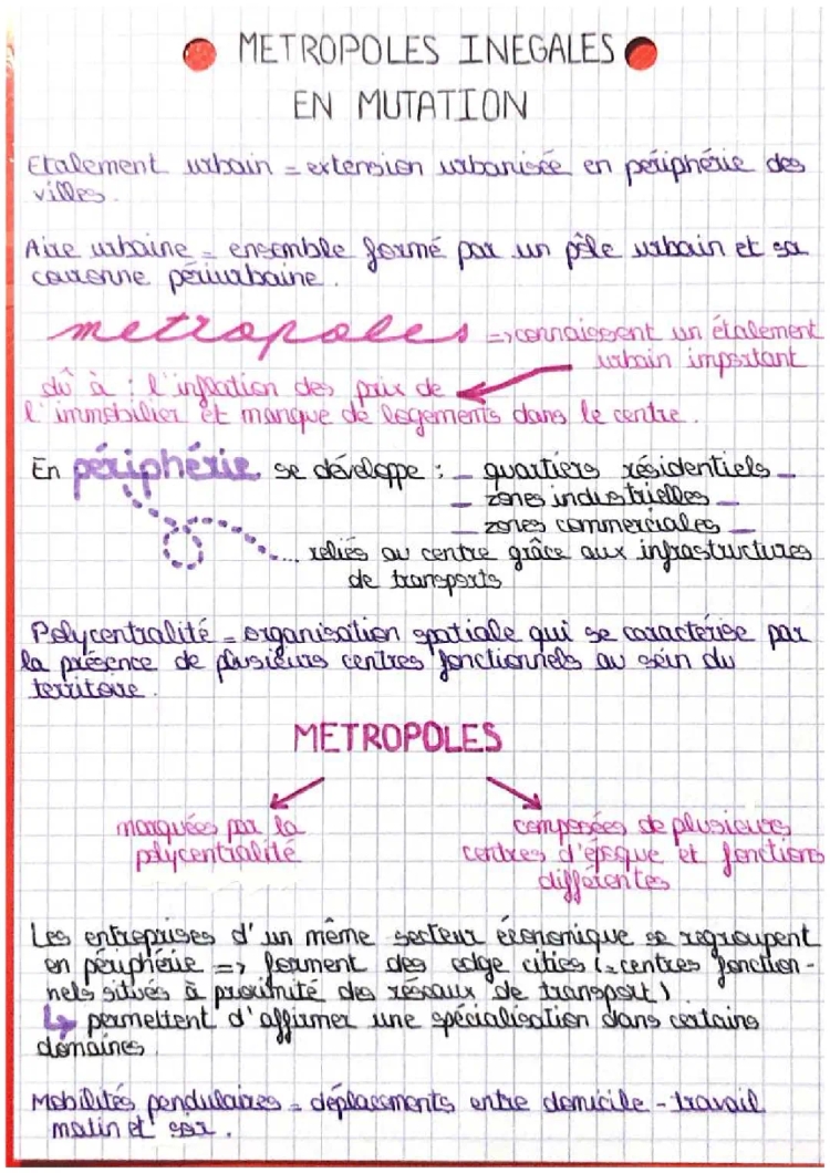 Comprendre les Métropoles : Inégalités, Fragmentations et Gentrification