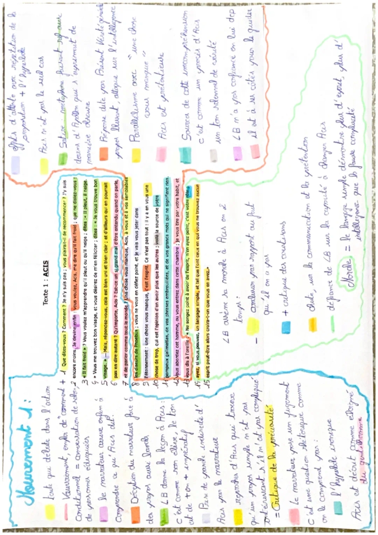 Analyse linéaire « Portrait Acis » 