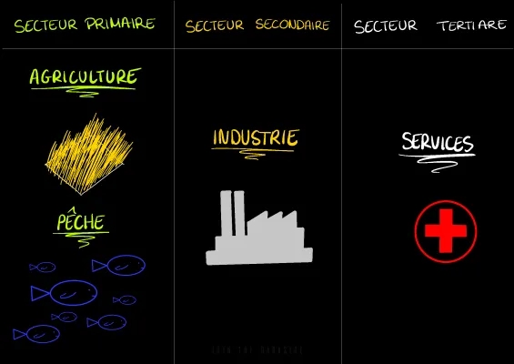 Tableau des Secteurs d'Activité: Primaire, Secondaire, Tertiaire, Quaternaire - Exemple et PDF