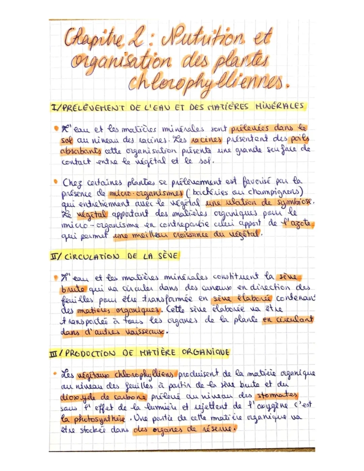 Nutrition et Organisation des Plantes - Schéma et Définitions SVT 5ème