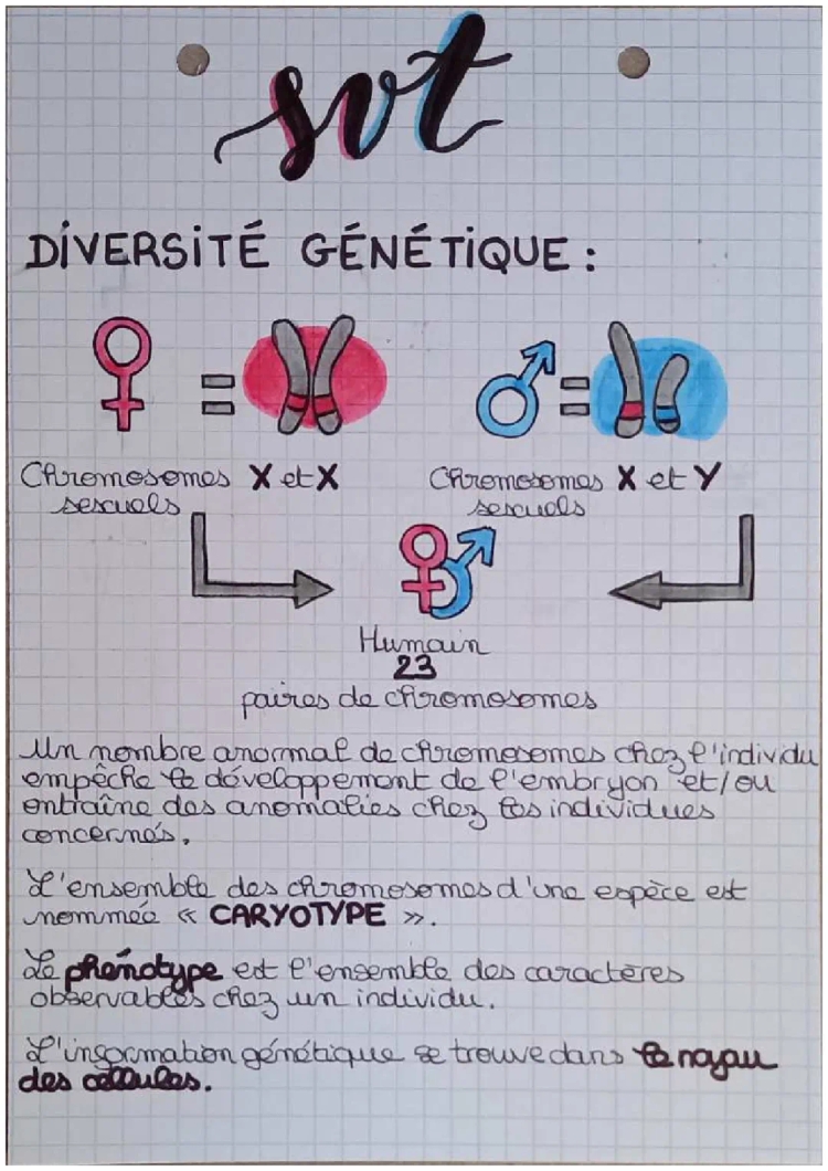 Diversité Génétique 