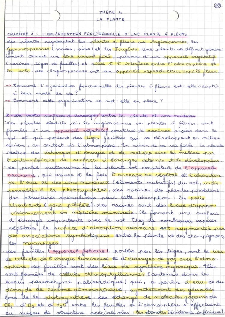 Schéma et Organisation Fonctionnelle des Plantes à Fleurs pour Terminale