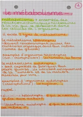 TP Seconde SVT: Le Métabolisme Cellulaire Corrigé