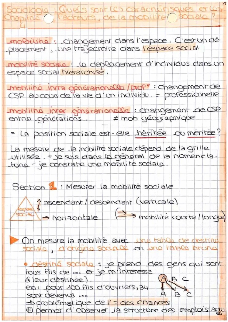 MOBILITÉ SOCIALE- SES