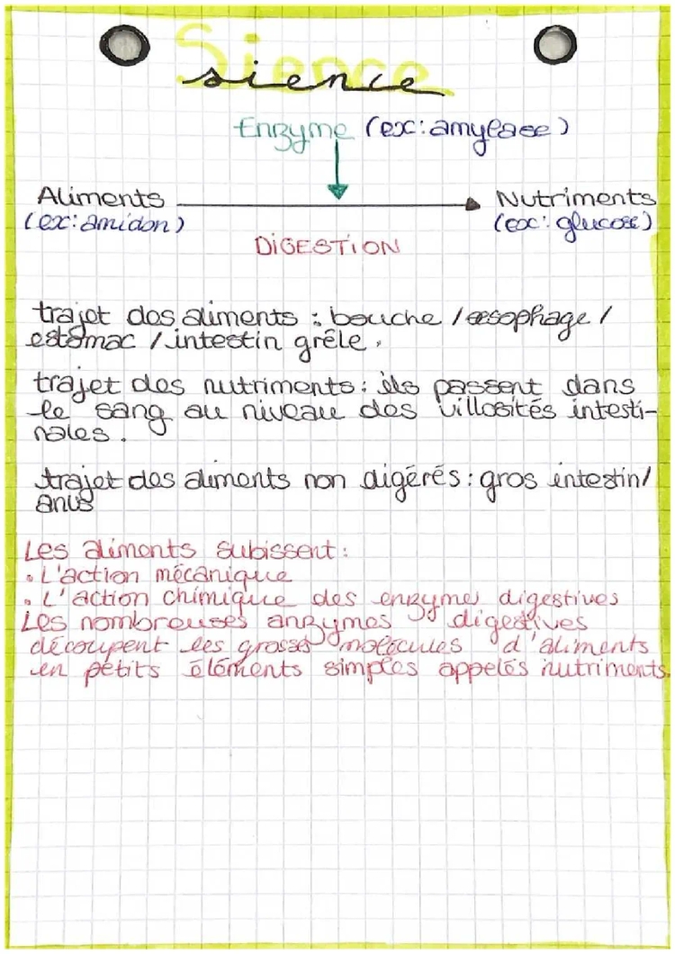 Fiche svt