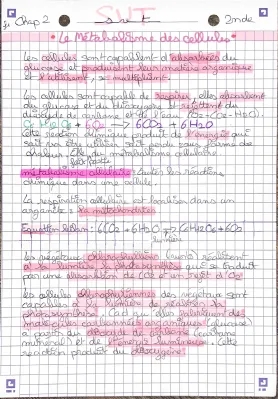 le métabolisme des cellules partie 1