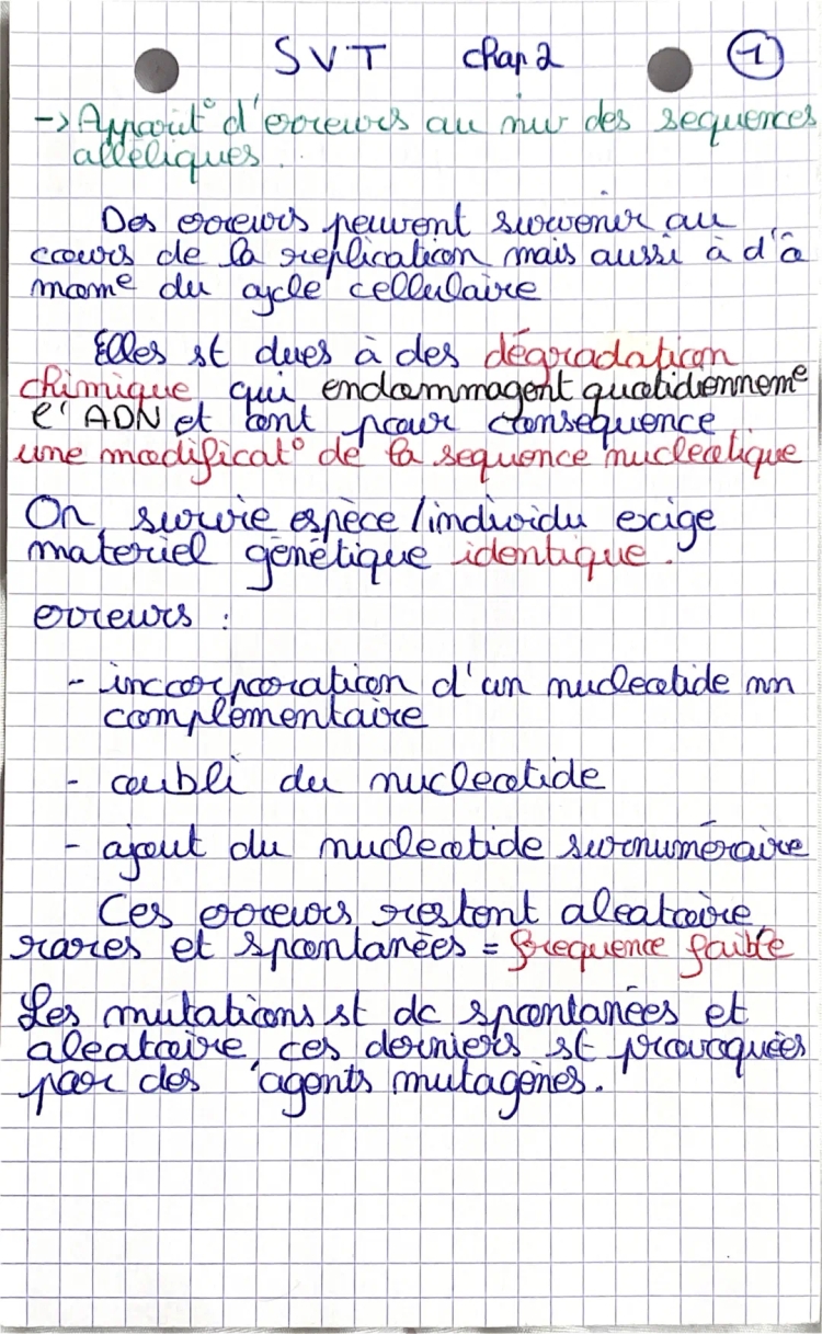 Tout sur les mutations génétiques: causes, types et exemples