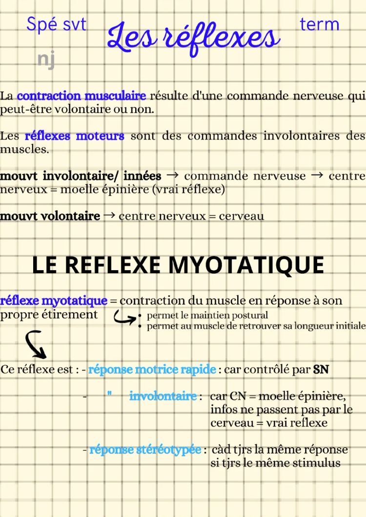 Les réflexes