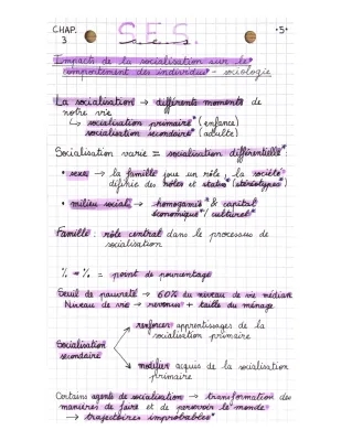 Impact de la socialisation sur le comportement des individus (SES 1ère)