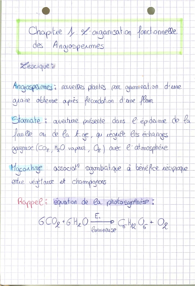 L’organisation fonctionnelle des angiospermes 