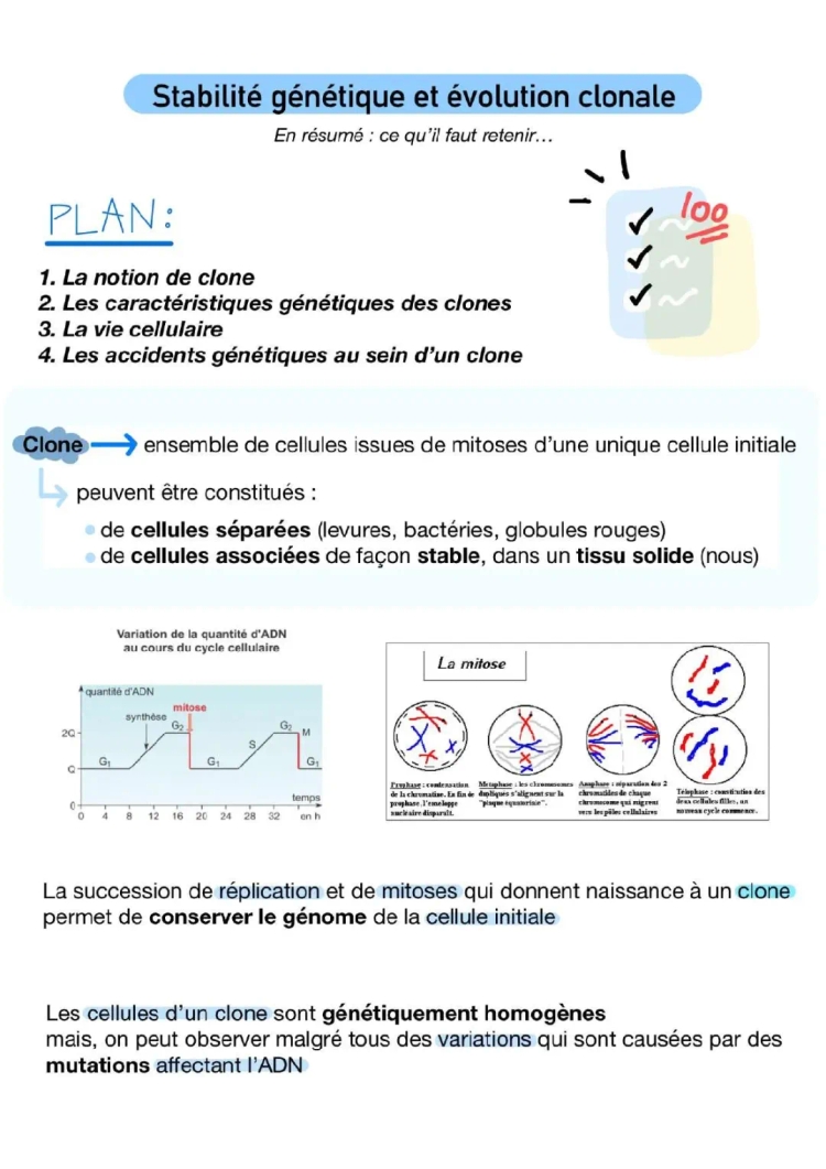 stabilité génétique et évolution clonale