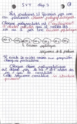 Synthèse des protéines et ARN : Différences ADN et ARN, Schémas et Exercices PDF