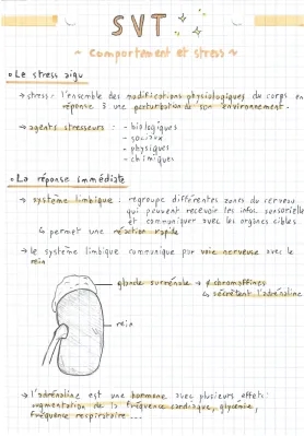 Comportement et stress SPÉ TERM