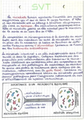 Découvre le Microbiote Intestinal et les Agents Pathogènes en SVT