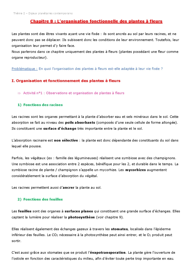 L'organisation fonctionnelle des plantes à fleurs - PDF, Fiche de révision et Schémas