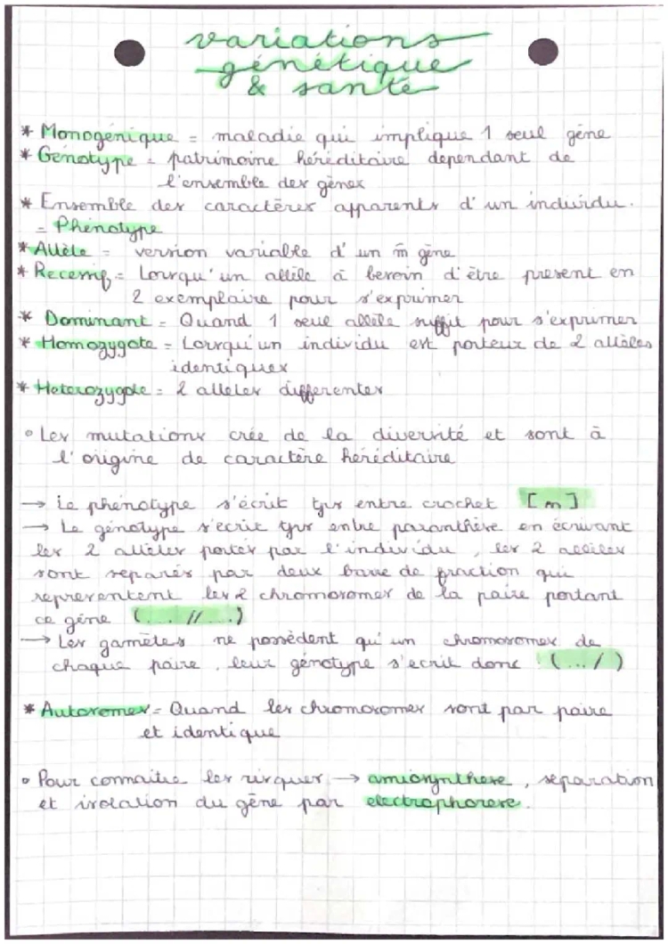 Comprendre les Maladies Génétiques et le Génotype pour les Jeunes