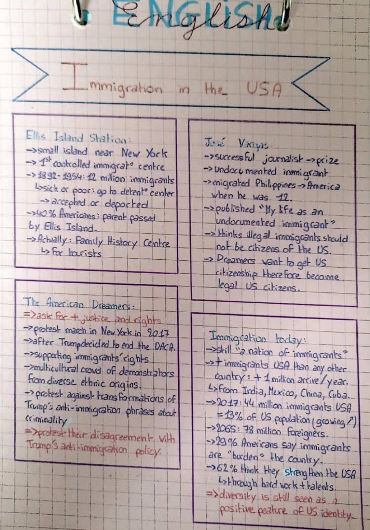 Immigration in the USA