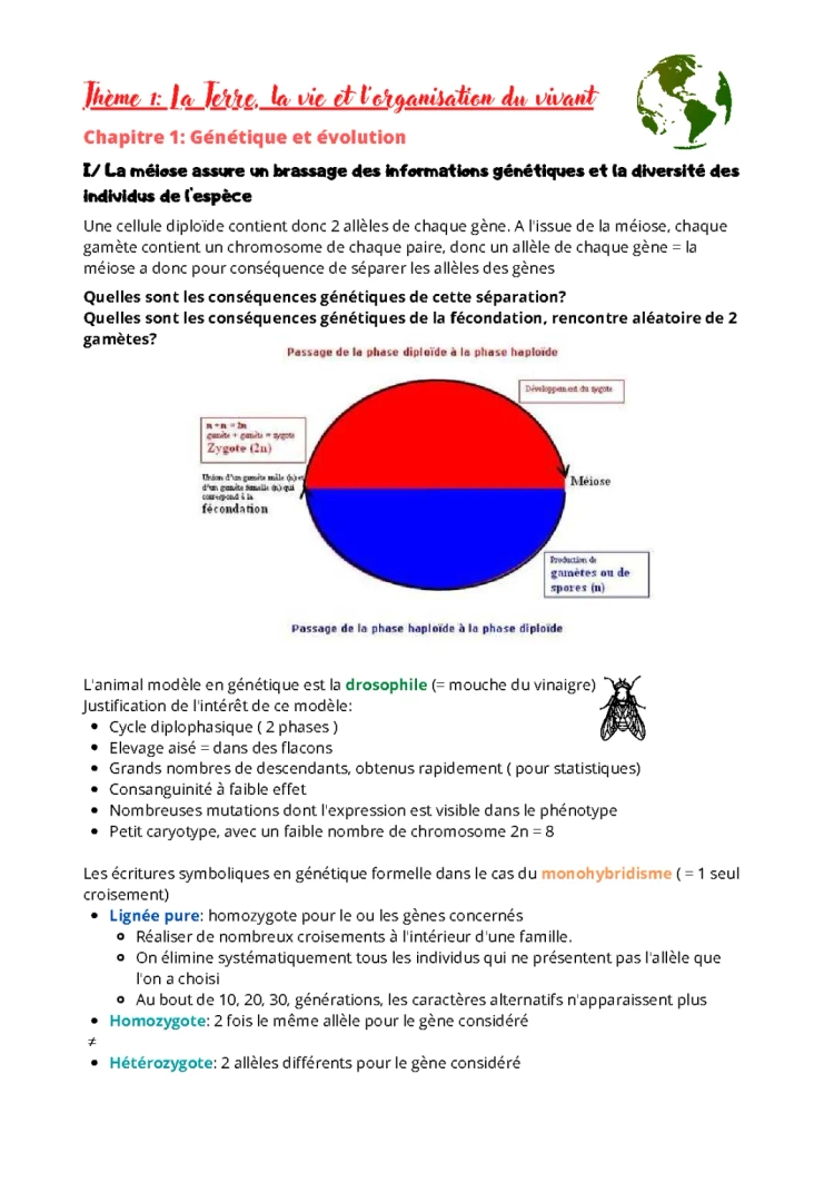 La terre, la vie et l'organisation du vivant 