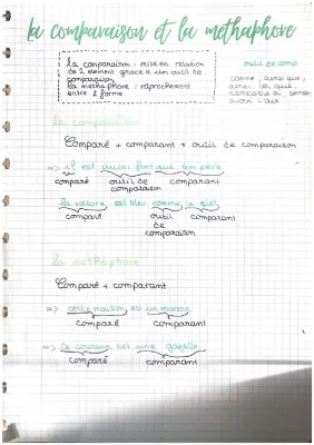 La comparaison et la methaphore 