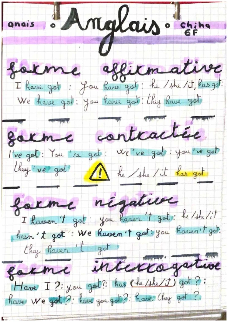 Exercice Anglais 6ème: Have Got - Conjugaison et Leçon Imprimable