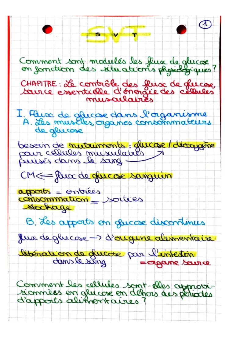 Sujet Bac SVT: Le Contrôle des Flux de Glucose - Terminale et Schéma Régulation Glycémie