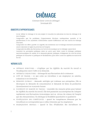 Comment Lutter Contre le Chômage: Solutions et Exemples