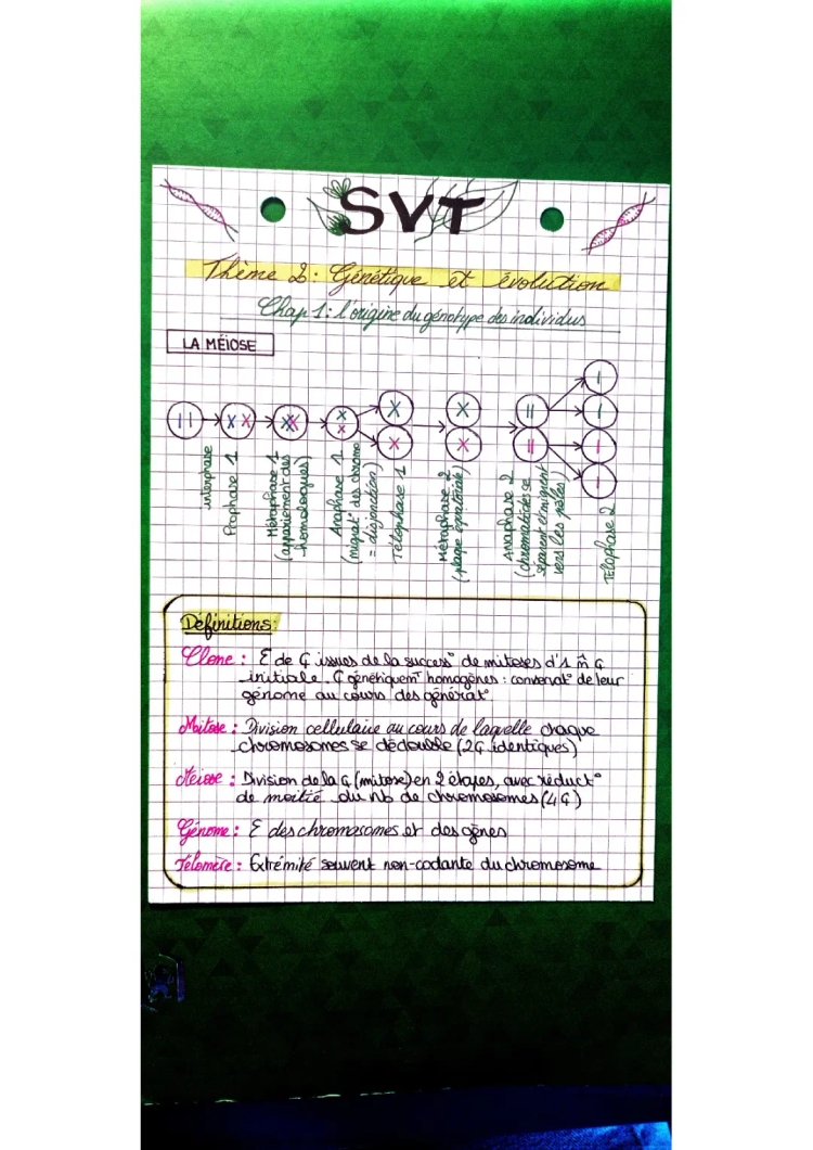 Génétique Terminale SVT : Fiches de révision, Croisements et Cours PDF