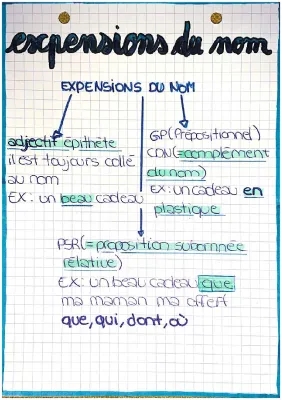 français les expensions du nom