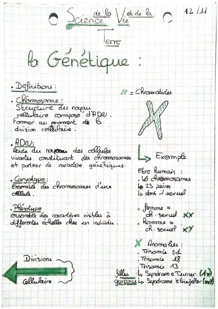 Fiche Révision Génétique 3ème - PDF Cours et Exercices SVT